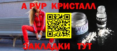 индика Гай