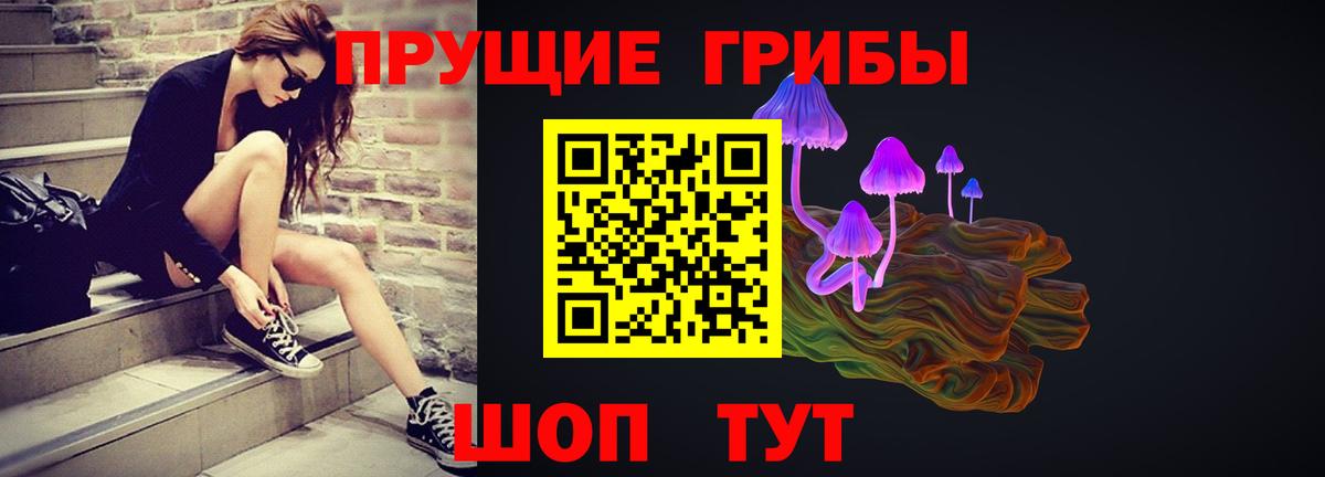 Псилоцибиновые грибы Psilocybine cubensis  где купить наркоту  Владивосток  Галлюциногенные грибы прущие грибы  Вход с VPN 